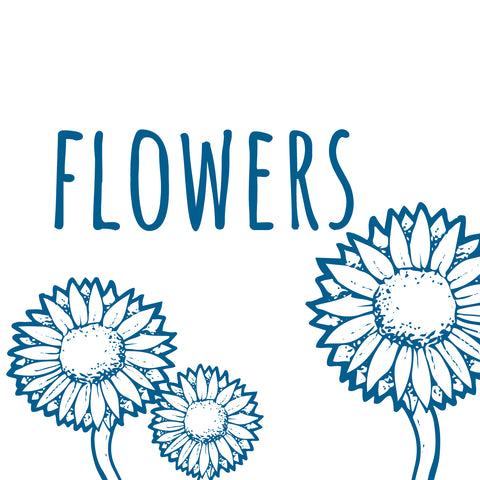 Flower Seedlings - Preorder