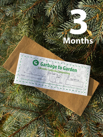 3 Month Gift Certificate