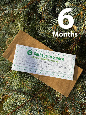 6 Month Gift Certificate