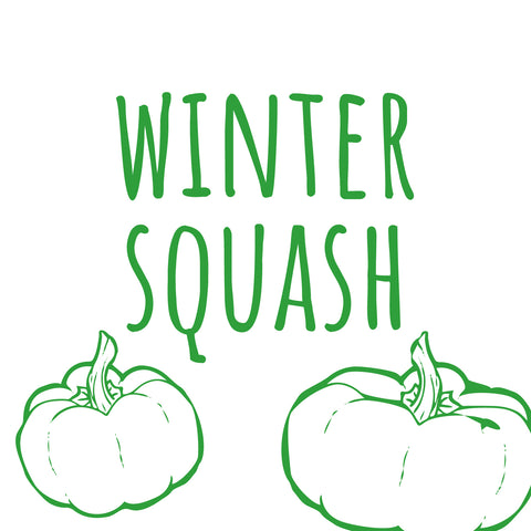 Winter Squash Seedlings - Preorder