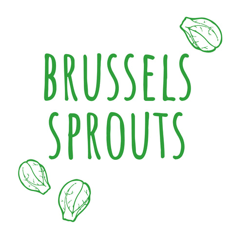 Brussels Sprouts Seedlings - Preorder