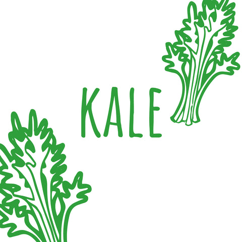 Kale Seedlings - Preorder