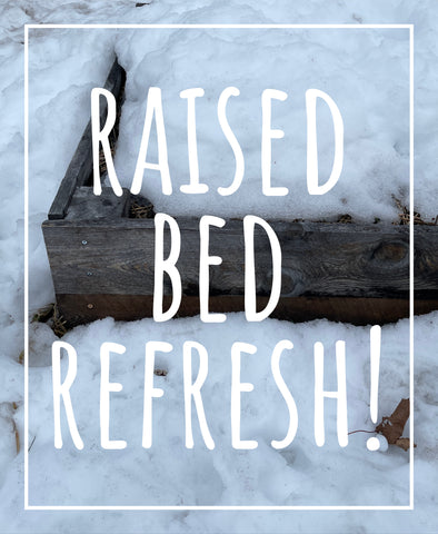 Raised Bed Refresh